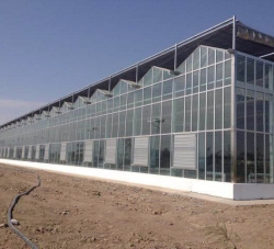 永城玻璃温室大棚建造